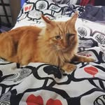 Barbara Frank - @barbara.frank06 - Instagram