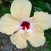 Barbra Frank - Facebook