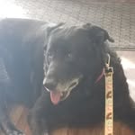 Barbra Frank - @barbieq66 - Instagram