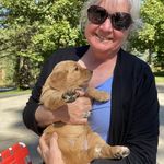 Barbara Wells - @upcyclegreetings - Instagram