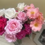Barbara Wood - @barbara6826 - Instagram