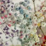 Barbra wood - @barbra43732 - Instagram