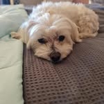 Barbra Woody - @woody.barbra - Instagram