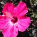 Barbara Young - Facebook