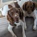 Barbara Young - Facebook