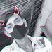 Roshan Bhuriya - Facebook