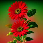Barjesh Sharma - @barjesh9192 - Instagram