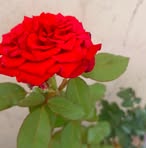 Barkha Patel - Facebook