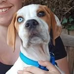 Alex Male - @barkleybrown14 - Instagram