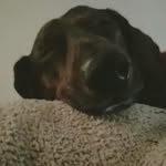 Barkley_2009_brown - @barkley_2009_brown - Instagram