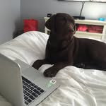 Barkley Brown - @barkley_jordan - Instagram