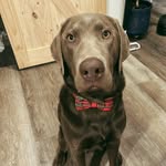 Barkley Brown - @barkley_br0wn - Instagram