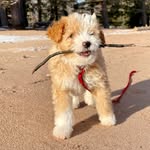Meeko Barkley Clark - @meeko_barkley - Instagram