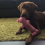 BARKLEY BECKHAM HALL - @_barkley_beckham - Instagram