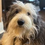 Mack Barkley Hall - @mack_barkley_boy - Instagram