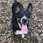 Barkley B. Jones - @barklebjones - Instagram