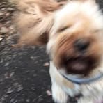 Barkley Jones - Facebook