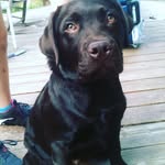 Barkley Jones - @barkley_allen_jones - Instagram