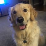 Barkley Jones - @smile_barkley - Instagram