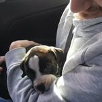 Barkley Smith - @barkleyboy_2017 - Instagram