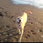 Barkley Smith - @barkley_boy11 - Instagram