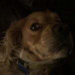 Barkley-Smith - @barkley_smith - Instagram
