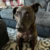 Barkley E. Thompson - @barkley.thegentleman - TikTok