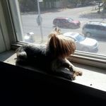 Barkley Thompson - @barkley_killa02 - Instagram