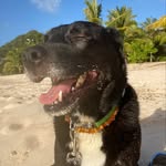 Barkley B. Wilson - @barkleyb.wilson - Instagram