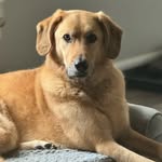 Barkley Wilson-Gray - @barkleywilsongray - Instagram