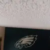 barkley_wyckoff - @barkley_wyckoff - TikTok