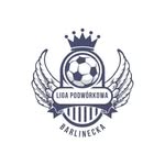 @barlineckaligapodworkowa - Instagram