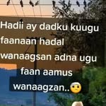 Barlin Farah - @barlin_farah_1 - Instagram
