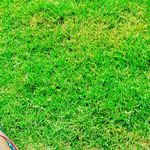 Barlin Mohamed - @barlinmohamed99 - Instagram