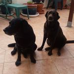 Linda Barlow Smith - @lindagwinnett - Instagram