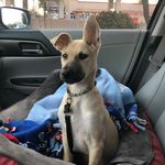 Winnie Barlow-Smith - @im.winnie.the.pooch - Instagram