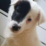 Barnabáš Collins - @barny_collins - Instagram