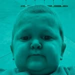 Barnabás Hegedüs - @barnabas_hegedus_ - Instagram