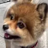 @barnabascolin - @barnabascolin - TikTok