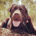 Barnabas Miller-Thorp - @barnabas_millerthorp - Instagram