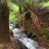 barnabybaker461 - @barnabybaker461 - TikTok