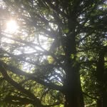 Barnaby.baker83 - @barnaby4678900000 - Instagram