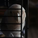 Barnaby Bird - Facebook