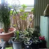 Barnabys Booths - @barnabys.booths - TikTok