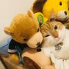 Cookie and Barnaby - @cookienbarnaby - TikTok