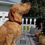 Barney Edwards - @barney.edwards - Instagram