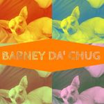 Barney Edwards - @barney_da_chug - Instagram
