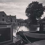 Barnaby Evans - @oyster_world - Instagram