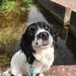 Barnaby Evans - @prpledinosaur3 - Instagram