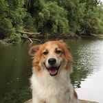 Barney Garcia 🐾 - @barneygarciadog - Instagram